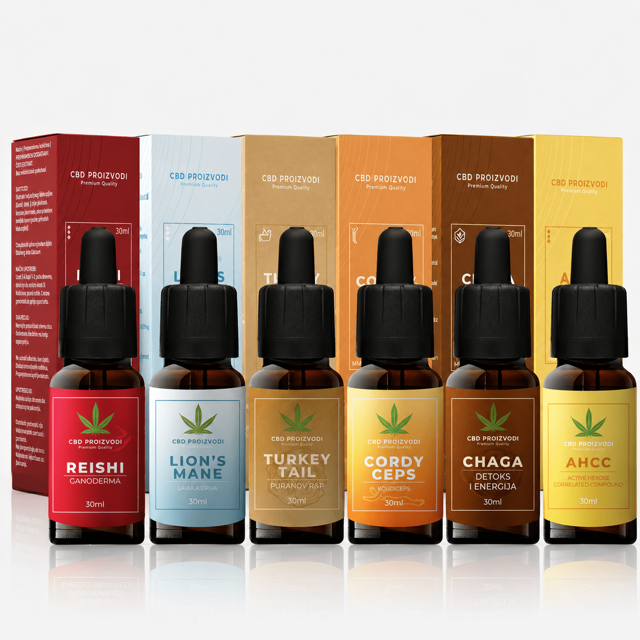 MASTER MUSHROOM PROTOCOL - Reishi + Lavlja griva + Puranov rep + Cordyceps + Chaga + AHCC