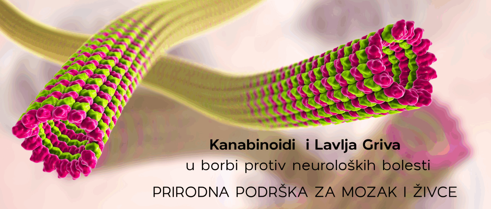 Kanabinoidi i Lavlja Griva Kanabinoidi i Lavlja Griva