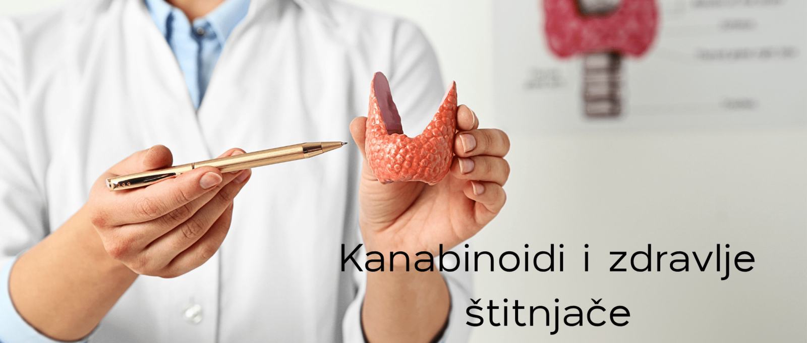 Kanabinoidi i zdravlje štitnjaće Kanabinoidi i zdravlje štitnjaće