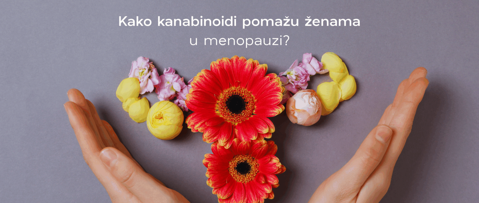 Menopauza Menopauza